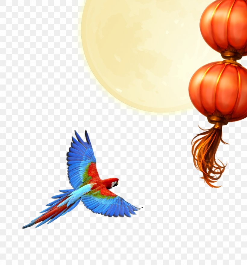 Parrot Download Clip Art, PNG, 1002x1074px, Parrot, Beak, Bird, Color, Display Resolution Download Free