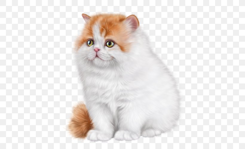 British Semi-longhair Ragamuffin Cat Asian Semi-longhair Persian Cat Kitten, PNG, 500x500px, British Semilonghair, American Wirehair, Art, Asian, Asian Semi Longhair Download Free