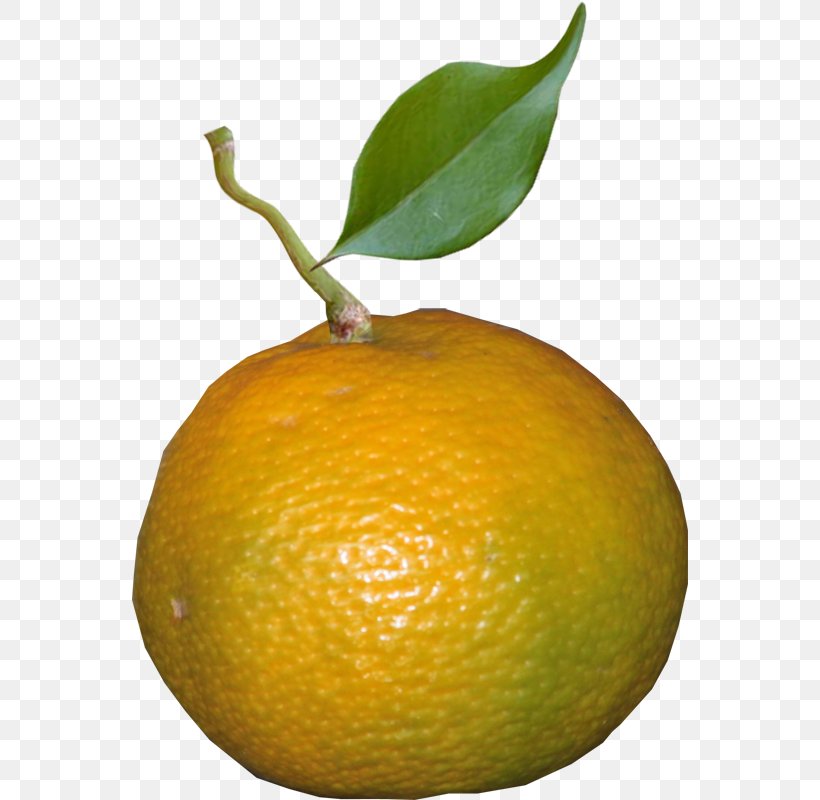 Clementine Mandarin Orange Lemon Tangerine Key Lime, PNG, 556x800px, Clementine, Bitter Orange, Calamondin, Chenpi, Citric Acid Download Free