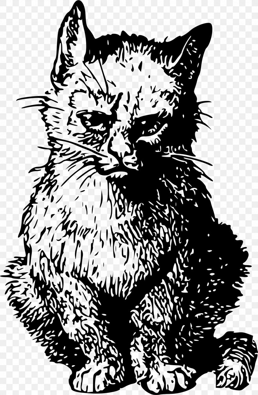 Kitten Whiskers Cat Clip Art, PNG, 1563x2394px, Kitten, Art, Audio Engineer, Black, Black And White Download Free
