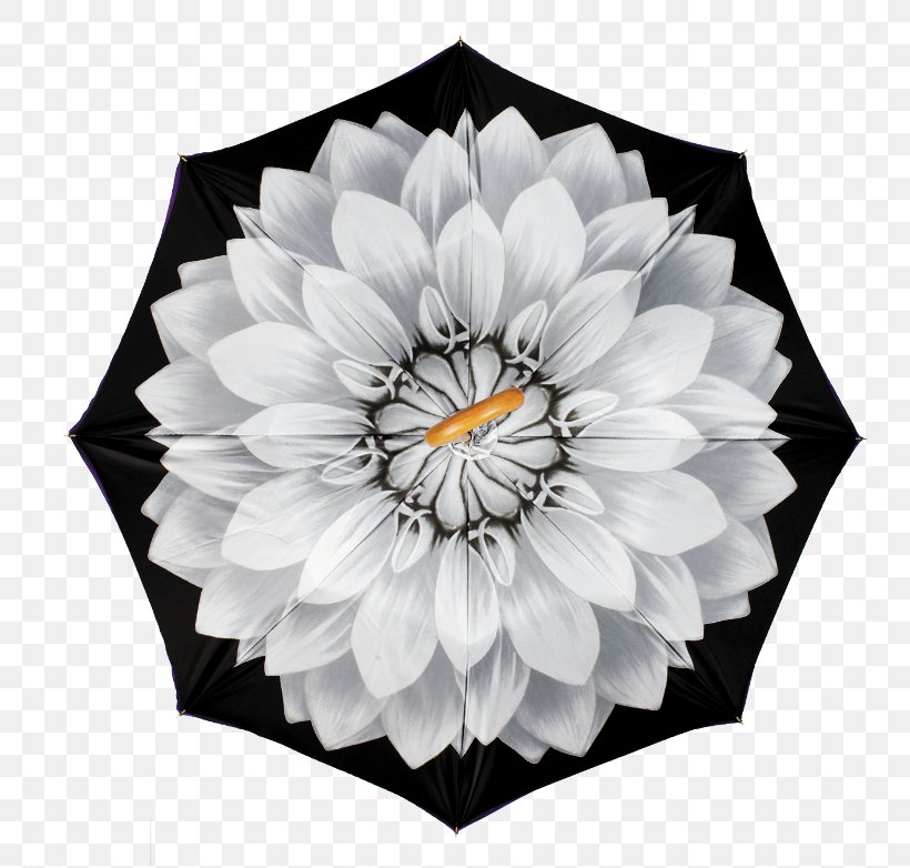Petal Flower Black And White, PNG, 768x782px, Petal, Black, Black And White, Blue, Dress Download Free