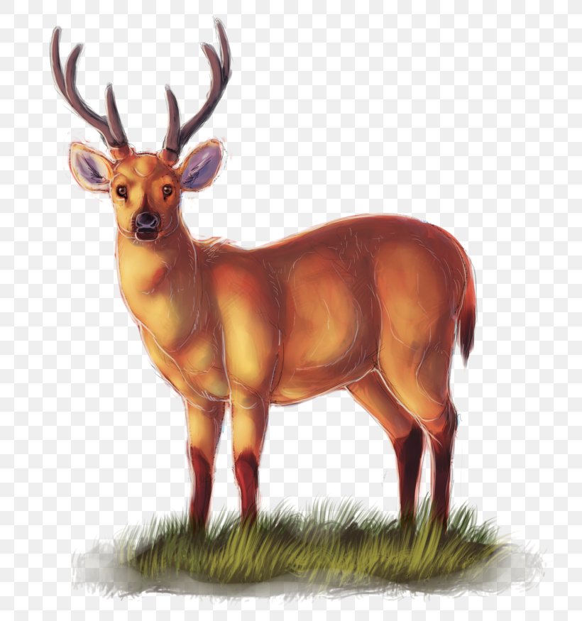 Reindeer Elk Antelope Cattle Horn, PNG, 800x875px, Reindeer, Animal, Antelope, Antler, Cattle Download Free