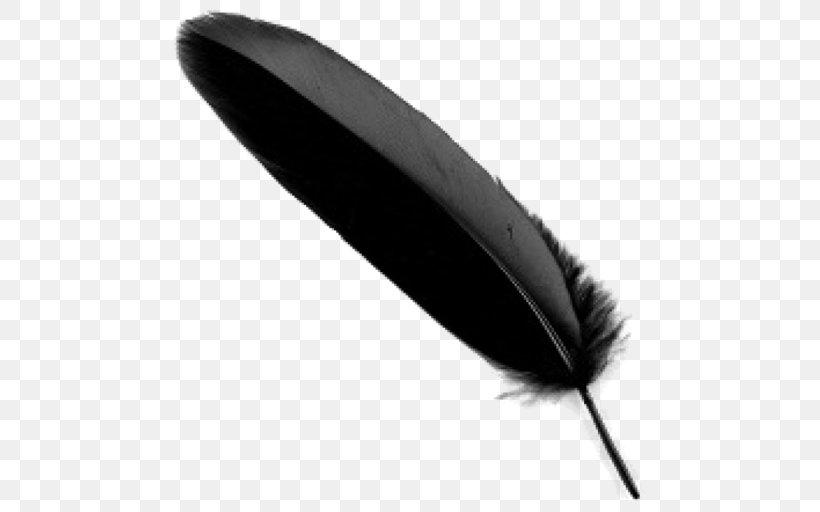 Feather, PNG, 512x512px, Feather, Pen, Quill, Wing, Writing Implement Download Free