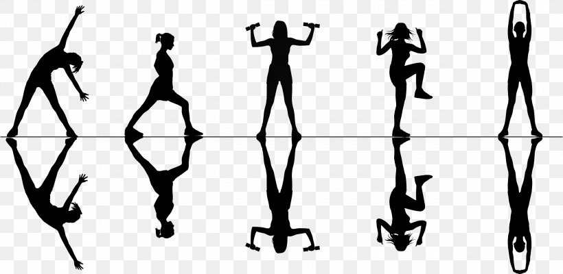 Human Leg Physical Fitness Muscle Silhouette, PNG, 2550x1245px, Human, Balance, Behavior, Black, Gesture Download Free