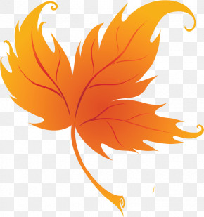 Maple Leaf PNG