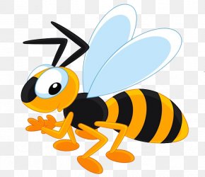 Bee - Bee Hornet Clip Art Vector Graphics Illustration PNG