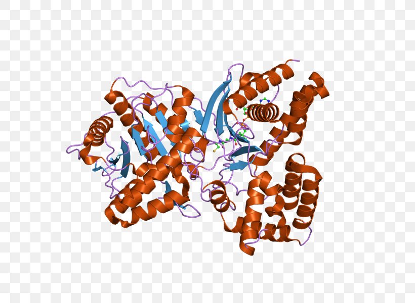 Choline Acetyltransferase Acetylcholine, PNG, 800x600px, Watercolor, Cartoon, Flower, Frame, Heart Download Free