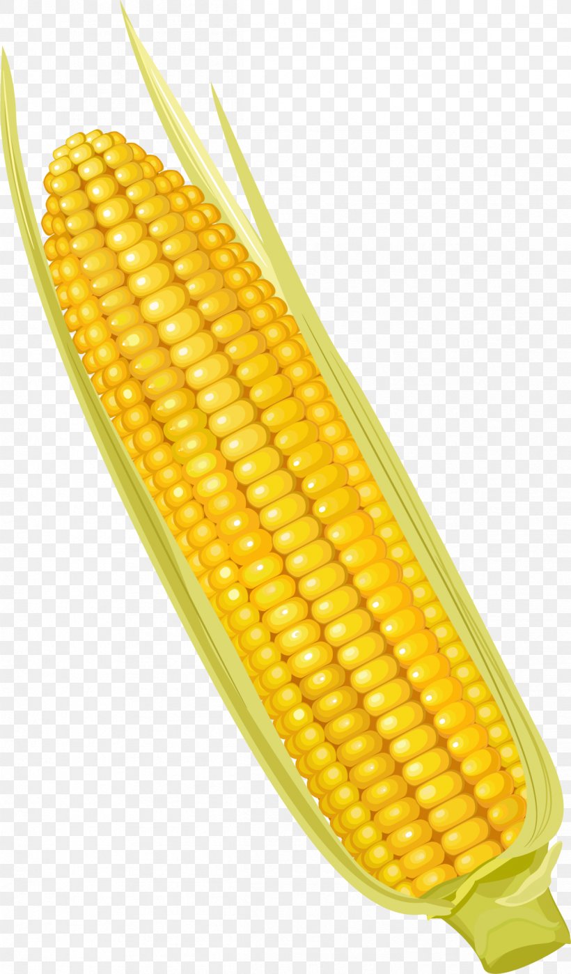 Corn On The Cob Maize Corncob Vegetable, PNG, 1201x2048px, Corn On The Cob, Commodity, Corn Kernel, Corn Kernels, Corncob Download Free