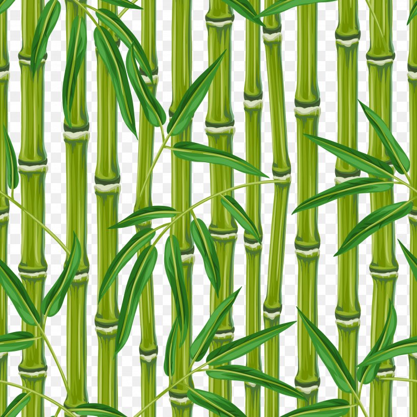 Download Bamboo Bamboe, PNG, 2778x2778px, Bamboo, Bamboe, Commodity, Concepteur, Designer Download Free
