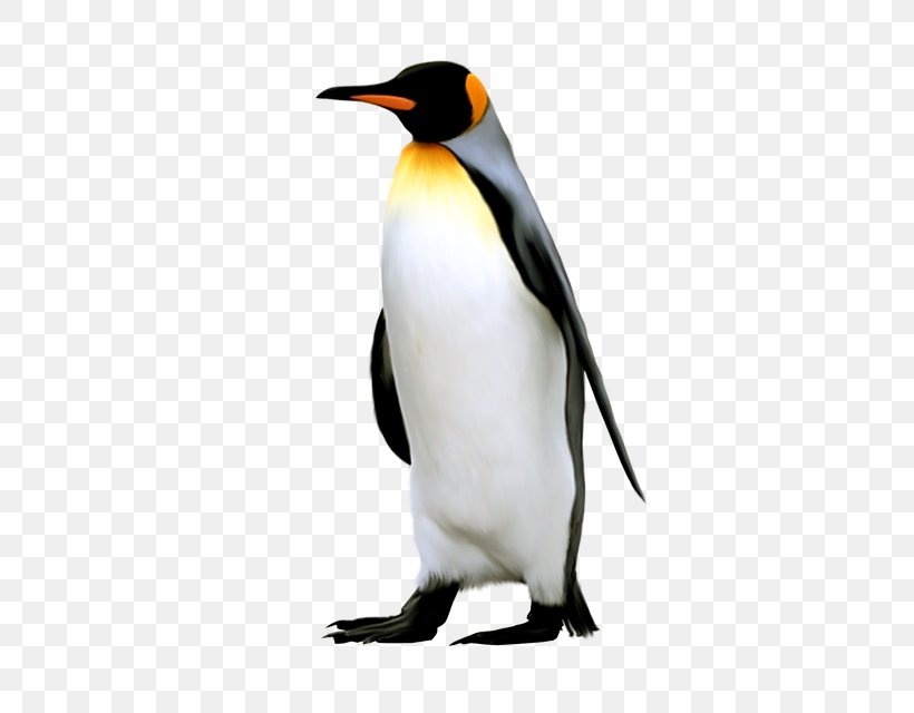 King Penguin Antarctica Bird Emperor Penguin, PNG, 409x640px, Penguin, Antarctica, Beak, Bird, Child Download Free