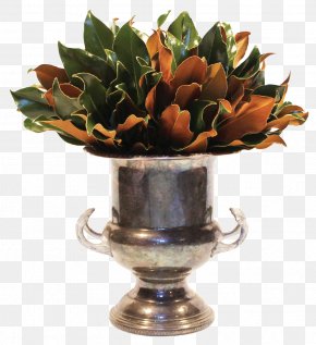 Flower - Magnolia Market Southern Magnolia Flower Moore Farms Botanical Garden PNG