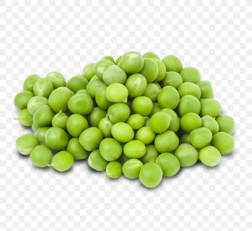 Pea Seed Vegetable Green Bean Food, PNG, 750x750px, Pea, Bean, Business, Commodity, Food Download Free