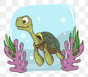Turtle Swimming Aquarium Green Algae Fish Brown Shell PNG