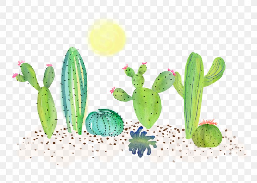 Vegetable Illustration, PNG, 1133x810px, Vegetable, Cactus, Caryophyllales, Flowering Plant, Organism Download Free