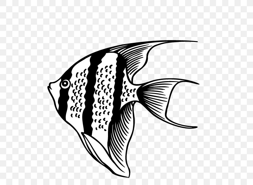 Fish Animal, PNG, 600x600px, Fish, Animal, Black, Black And White, Deep Sea Fish Download Free