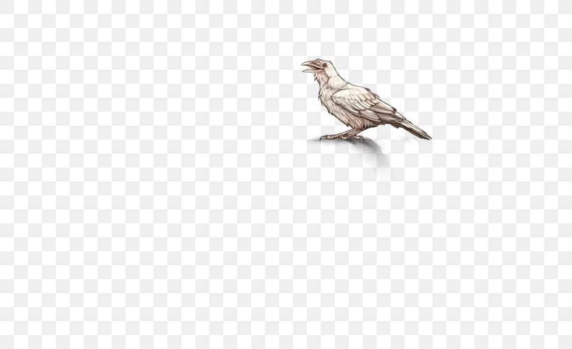 Finches Beak Fauna Cuckoos Feather, PNG, 640x500px, Finches, Beak, Bird, Cuckoos, Cuculiformes Download Free