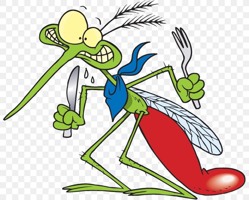 Mosquito Image Clip Art Insect Humour, PNG, 800x659px, Mosquito, Animal, Art, Artwork, Cartoon Download Free