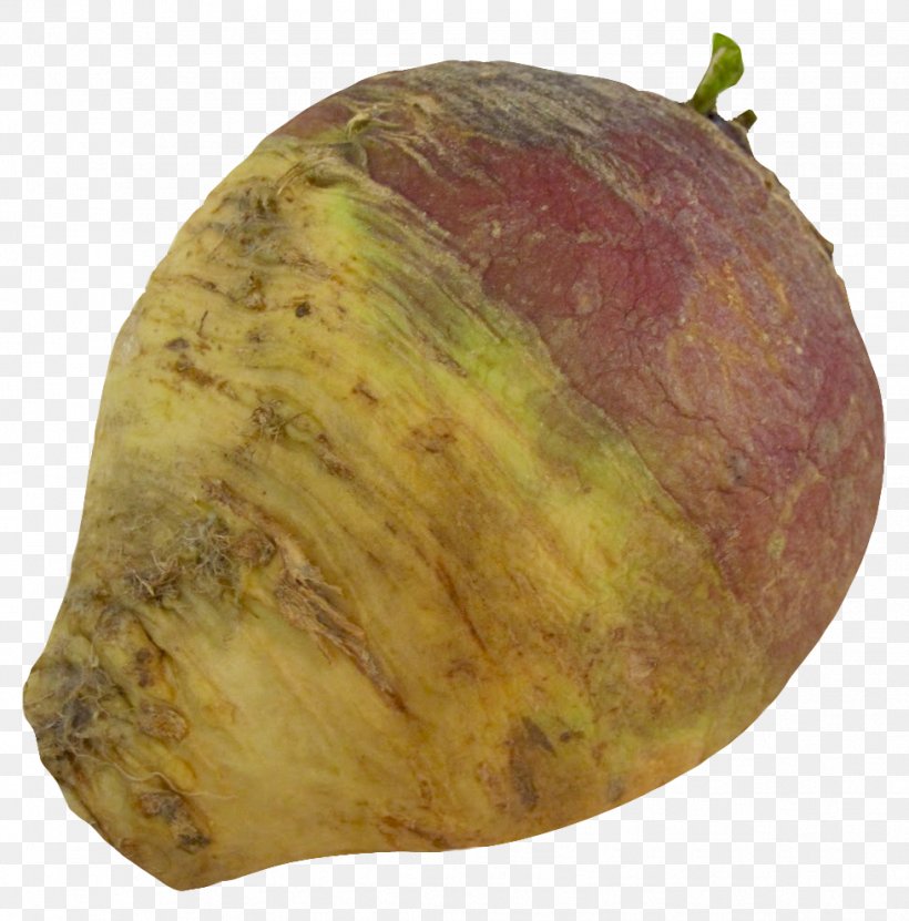 Root Vegetables Rutabaga Radish Turnip, PNG, 978x992px, Root Vegetables, Beetroots, Cabbage, Carrot, Food Download Free