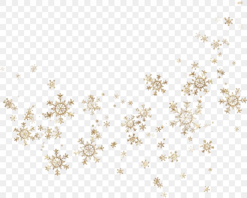Snowflake Christmas Image File Formats, PNG, 1600x1286px, Snowflake, Artrage, Blossom, Body Jewelry, Branch Download Free
