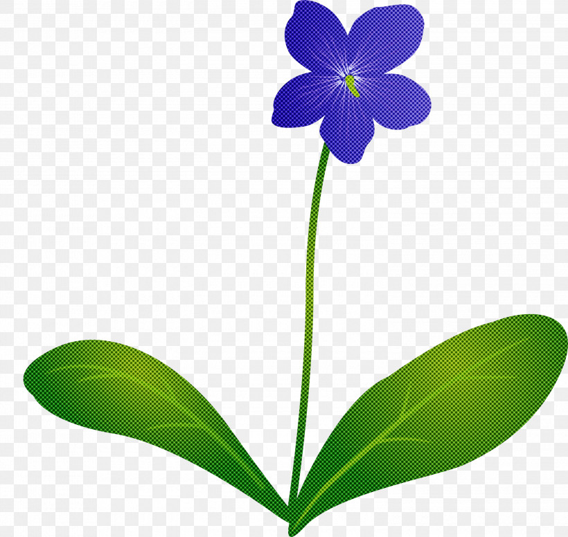 Violet Flower, PNG, 3000x2841px, Violet Flower, Biology, Cactus, Flora, Flower Download Free