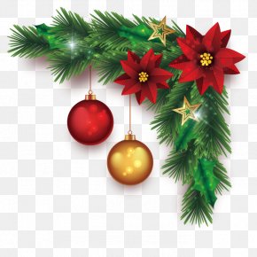 Vector Christmas Plant - Beer Table Drink Coaster Christmas PNG