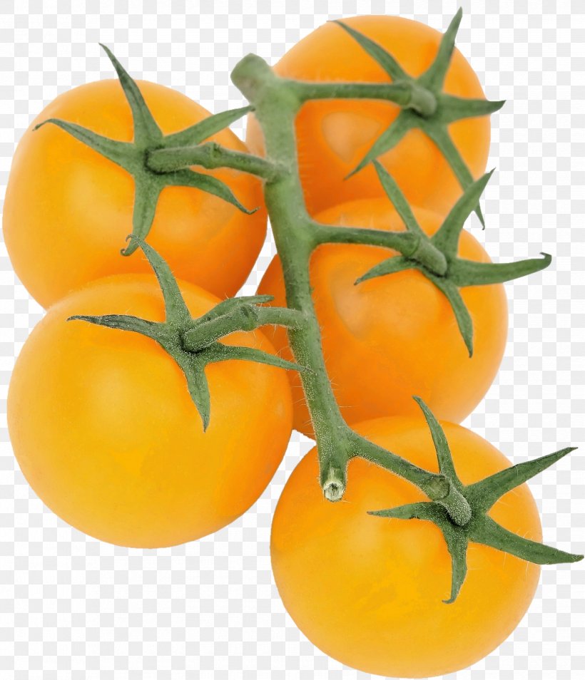 Cherry Tomato Organic Food Vegetable Fruit, PNG, 1650x1920px, Cherry Tomato, Bush Tomato, Citrus, Clementine, Culinary Art Download Free
