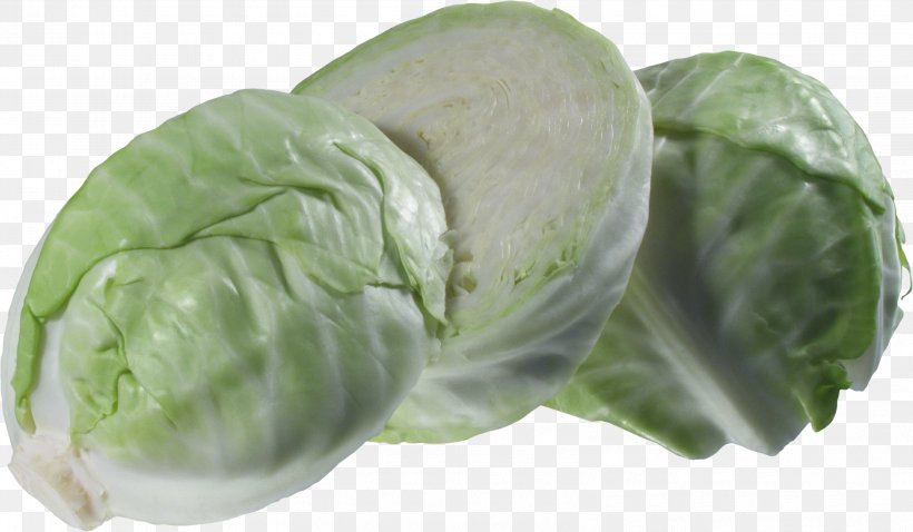 Cruciferous Vegetables Cabbage Roll Tursu Napa Cabbage, PNG, 3193x1864px, Cruciferous Vegetables, Bgmamma, Brassica Oleracea, Cabbage, Cabbage Roll Download Free