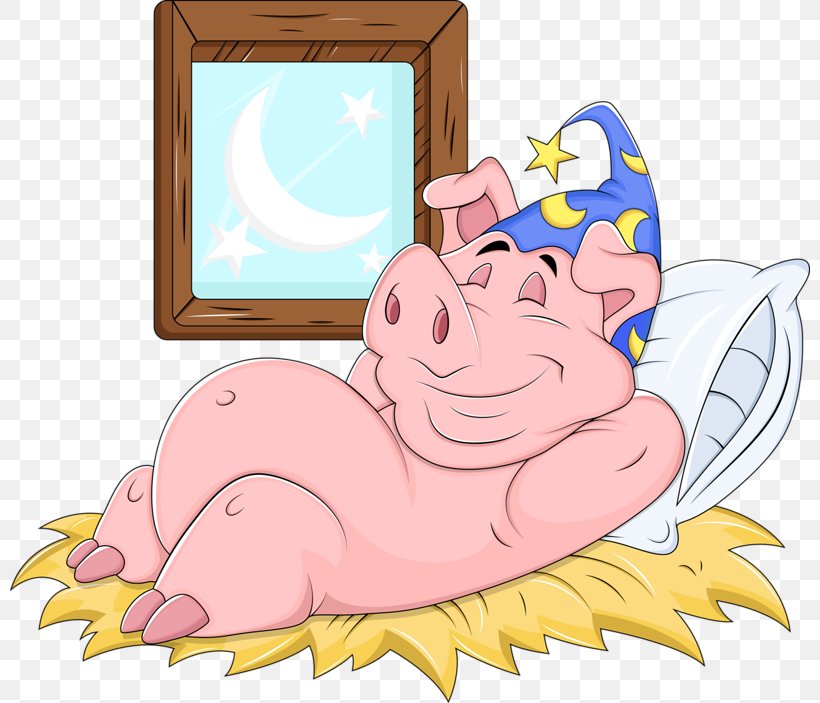 Domestic Pig Cartoon Drawing, PNG, 800x703px, Watercolor, Cartoon, Flower, Frame, Heart Download Free