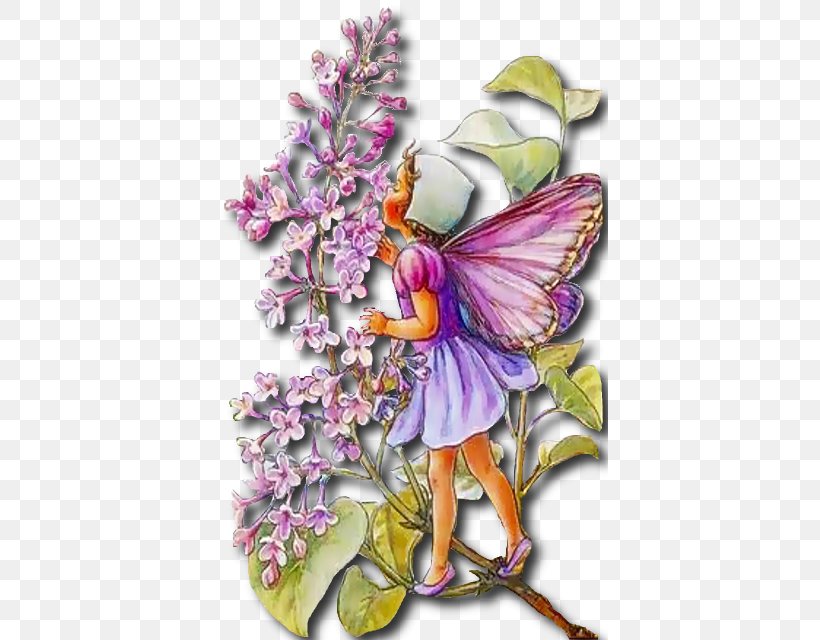 Fairy Wish Flower Fairies Elf Fantastic Art, PNG, 396x640px, Fairy, Animation, Art, Butterfly, Elf Download Free