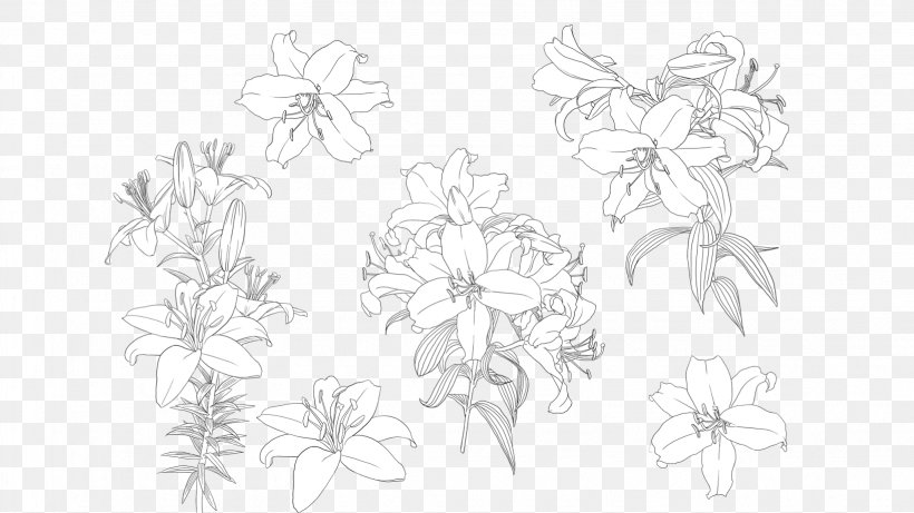 Floral Design Flower, PNG, 1637x921px, Floral Design, Area, Artwork, Black, Black And White Download Free