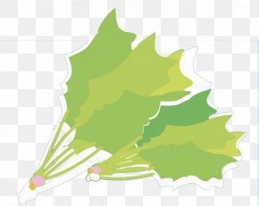 Green Vegetables - Green Vegetable Illustration PNG