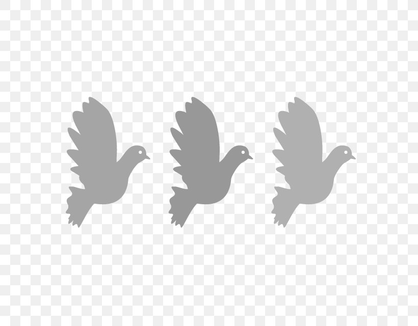 Bird Beak Wing Feather Fauna, PNG, 640x640px, Bird, Beak, Black And White, Fauna, Feather Download Free