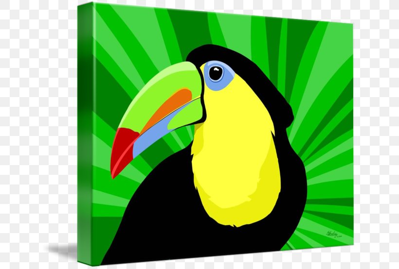 Bird Parrot Toucan Vertebrate Piciformes, PNG, 650x554px, Bird, Animal, Art, Beak, Cartoon Download Free