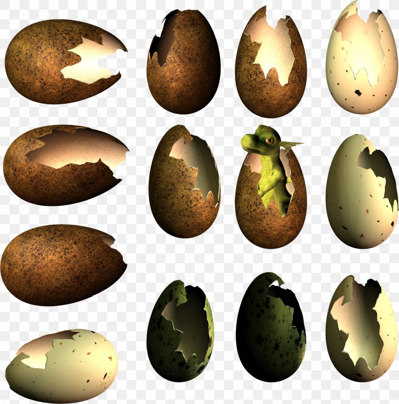 Egg Bird Nest Dinosaur, PNG, 3675x3719px, Egg, Bird, Bird Nest, Depositfiles, Dinosaur Download Free
