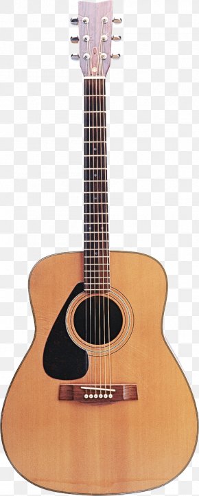 Acousticelectric Guitar Bass Guitar - Guitar PNG