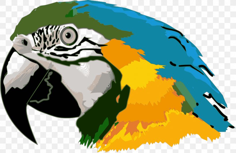 Parrot Bird Hyacinth Macaw Clip Art, PNG, 960x625px, Parrot, Art, Beak, Bird, Blueandyellow Macaw Download Free