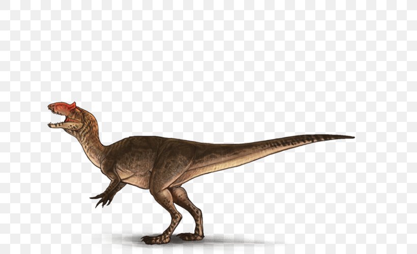 Tyrannosaurus Velociraptor Terrestrial Animal, PNG, 640x500px, Tyrannosaurus, Animal, Animal Figure, Dinosaur, Extinction Download Free