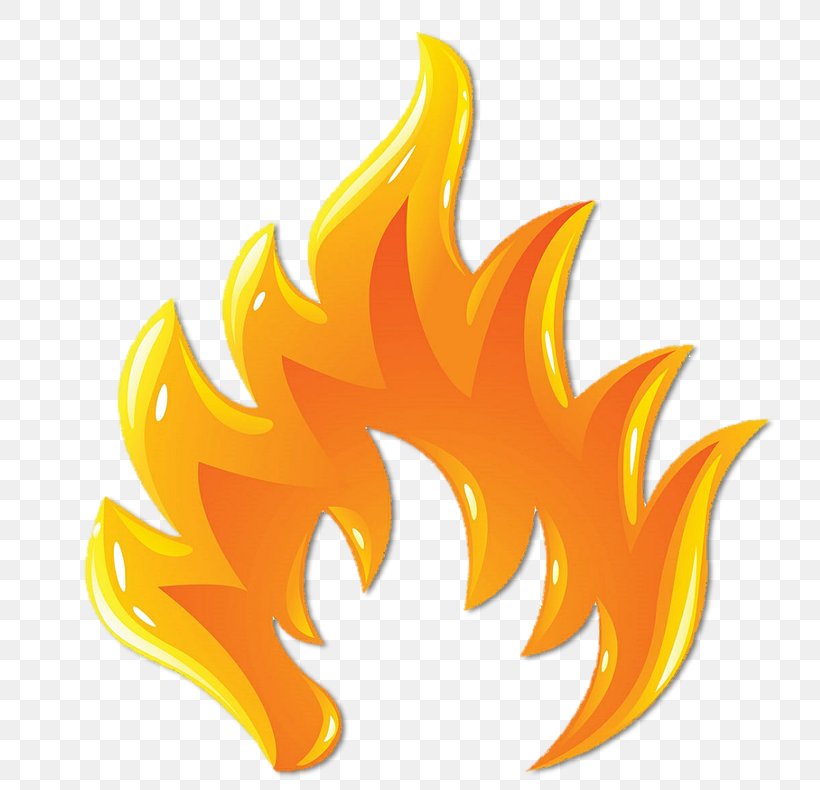 Vector Graphics Clip Art Image Illustration, PNG, 790x790px, Royaltyfree, Fire, Flame, Logo, Stock Photography Download Free