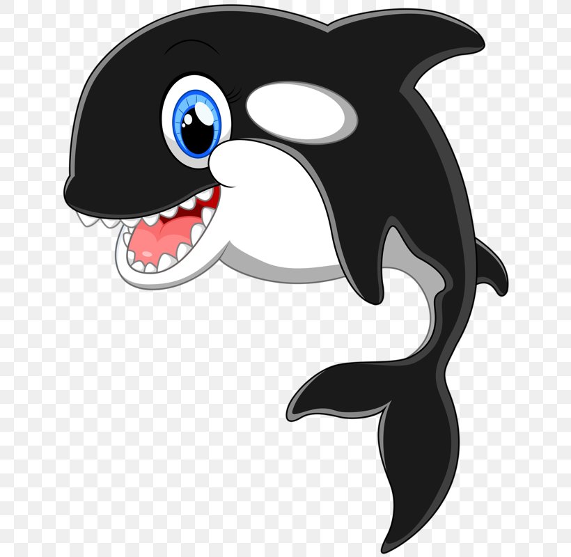 Cartoon Killer Whale Clip Art, PNG, 645x800px, Cartoon, Beak, Dolphin, Drawing, Fish Download Free