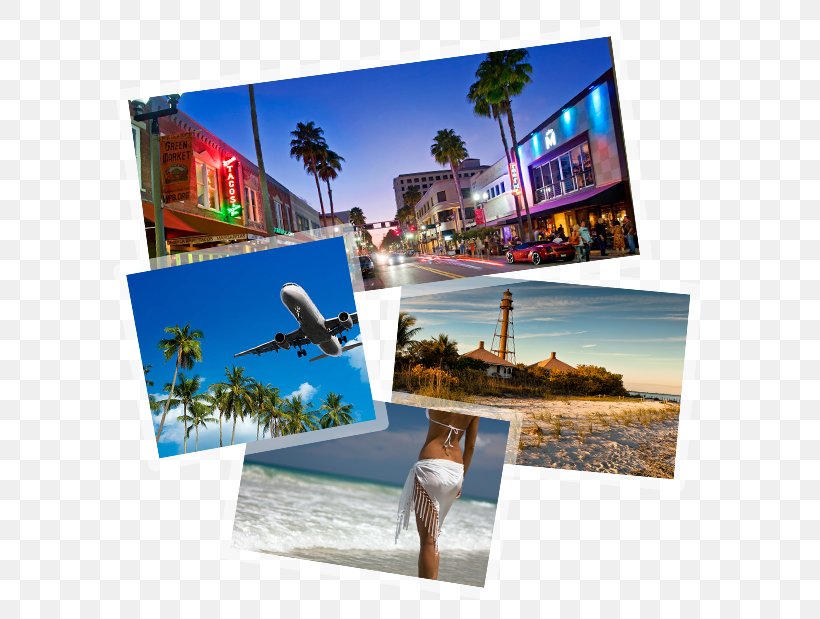American Board Of Plastic Surgery Robert V. Mandraccia, M.D. At Garramone Plastic Surgery Fort Myers Sanibel, PNG, 600x619px, American Board Of Plastic Surgery, Advertising, Collage, Display Advertising, Display Device Download Free
