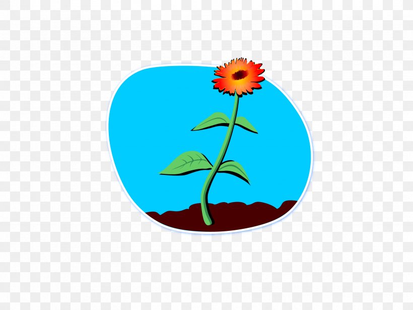 Clip Art Orange S.A., PNG, 3333x2500px, Orange Sa, Flora, Flower, Flowering Plant, Flowerpot Download Free