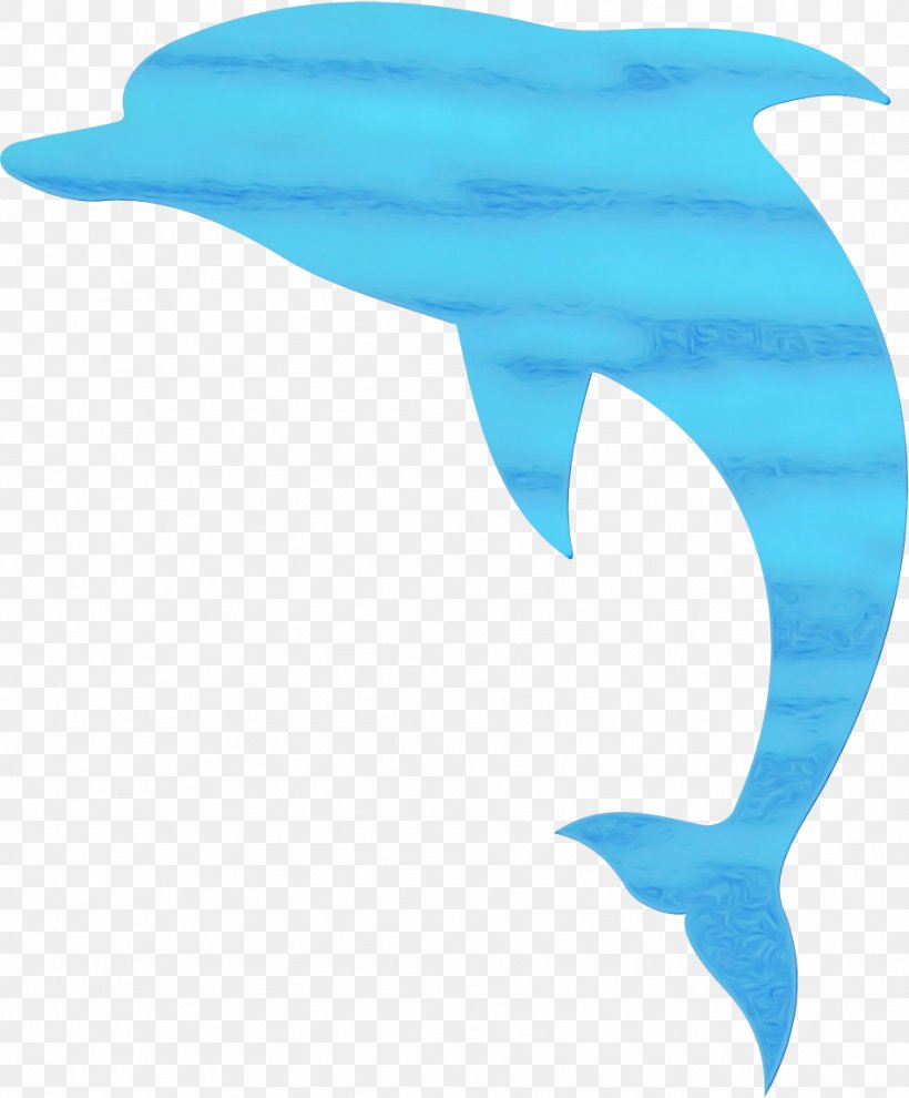 Common Bottlenose Dolphin Tucuxi Short-beaked Common Dolphin Wholphin Rough-toothed Dolphin, PNG, 946x1143px, Common Bottlenose Dolphin, Biology, Blue Whale, Bottlenose Dolphin, Cetacea Download Free