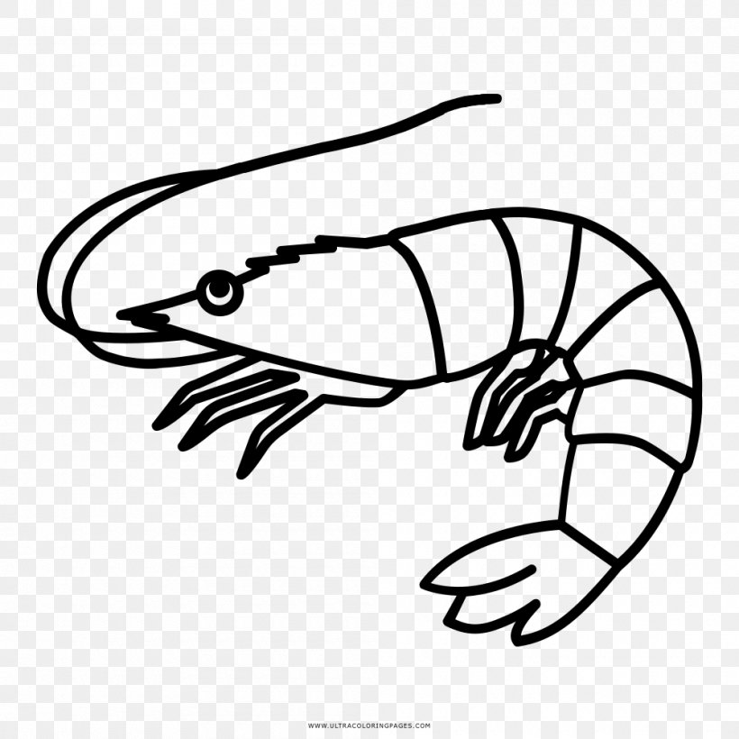 Fish Drawing Shrimp Caridea Clip Art, PNG, 1000x1000px, Fish, Arm, Art, Artwork, Black And White Download Free