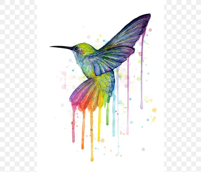 Hummingbird Printmaking Art Painting Canvas Print, PNG, 518x703px, Hummingbird, Allposterscom, Art, Art Museum, Artcom Download Free