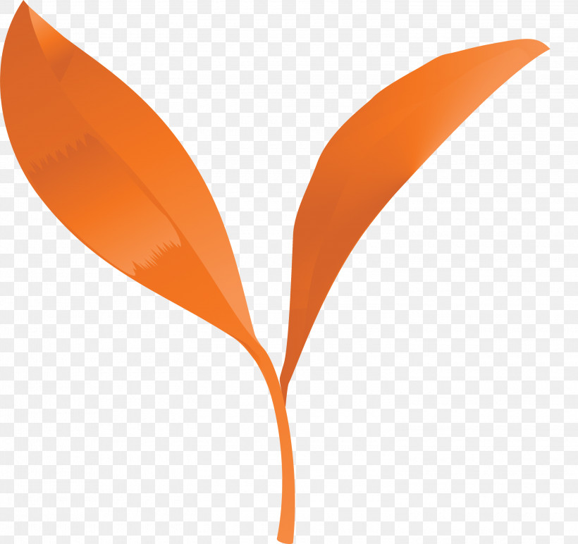 Tea Leaves Leaf Spring, PNG, 3000x2825px, Tea Leaves, Flower, Leaf, Logo, Orange Download Free