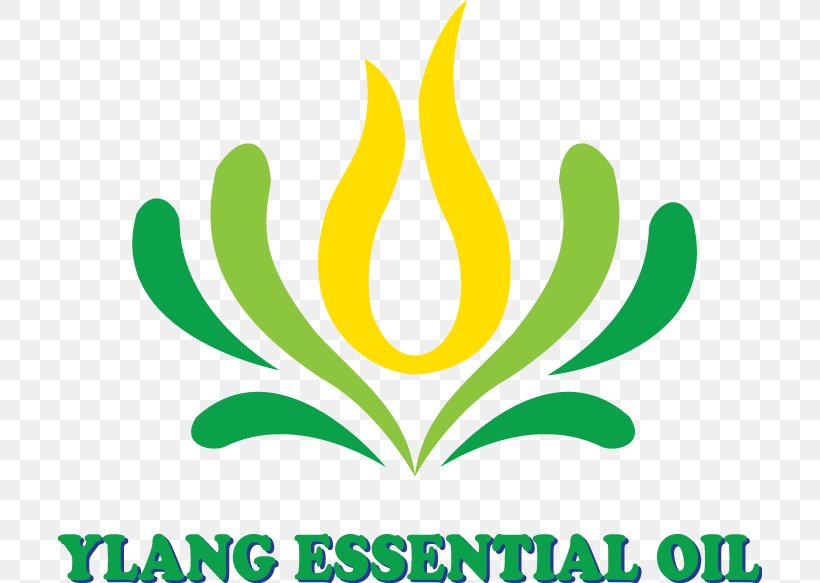 Essential Oil Logo Leaf Ylang-ylang Brand, PNG, 704x583px, Essential Oil, Brand, Car, Cloud, Company Download Free