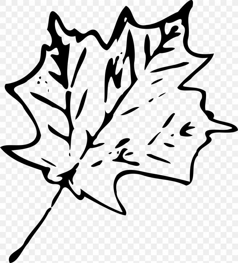 Maple Leaf Canada Clip Art, PNG, 2168x2400px, Maple Leaf, Artwork, Autumn, Autumn Leaf Color, Black And White Download Free