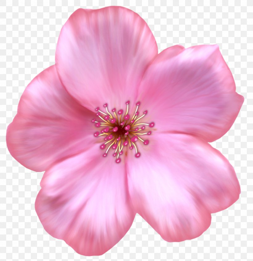 Flower Petal Scrapbooking Clip Art, PNG, 1050x1084px, Flower, Annual Plant, Benzersiz, Blossom, Cherry Blossom Download Free