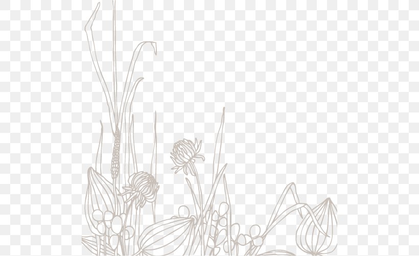 Line Art Drawing, PNG, 501x501px, Drawing, Black And White, Line Art, Monochrome, Monochrome Photography Download Free