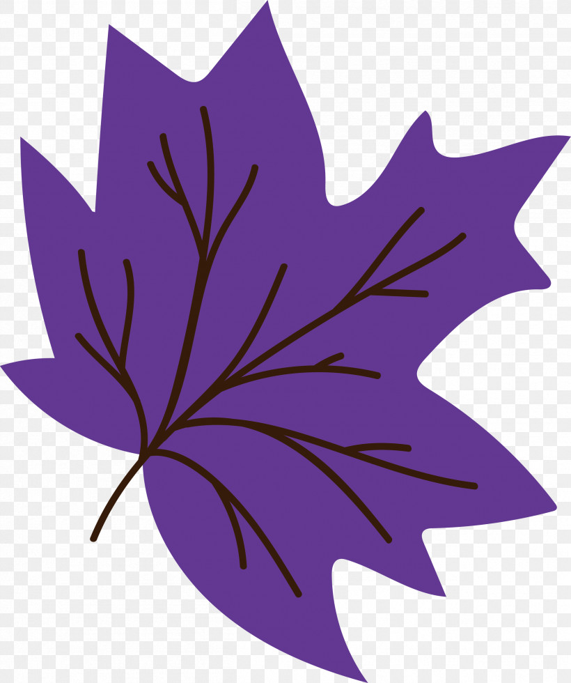 Maple Leaf, PNG, 2509x3000px, Maple Leaf, Biology, Flower, Leaf, Maple Download Free